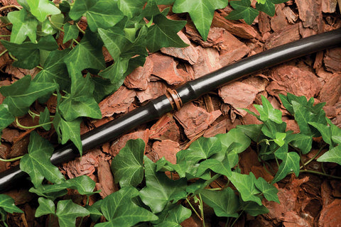 Rain Bird LNDDRIPKIT pressure regulator maintains steady pressure for reliable watering.