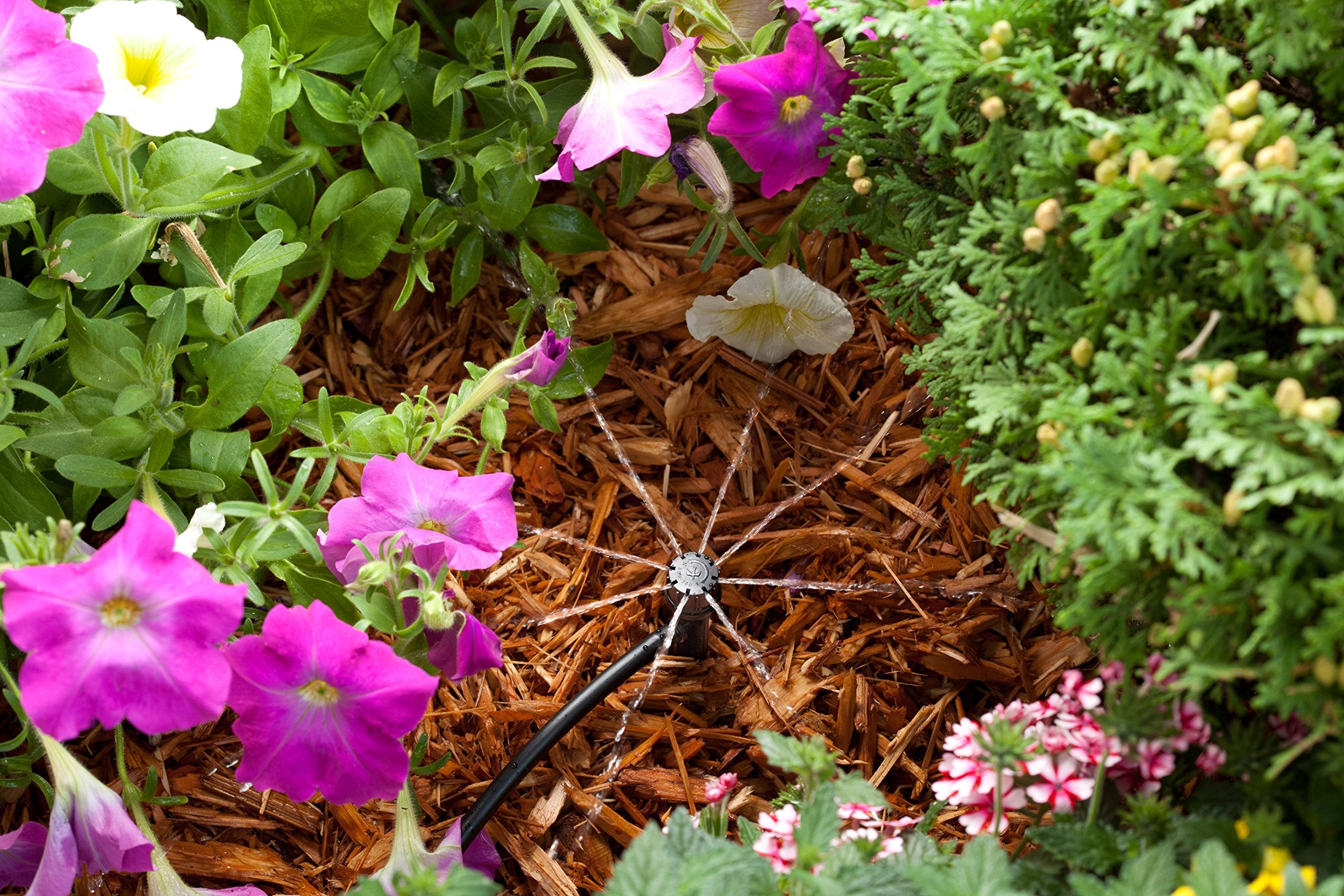 Rain Bird MBF4PKS offers adjustable spray distance from 0 to 3 feet.