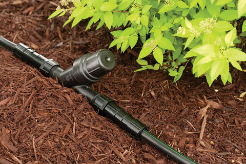 Rain Bird RBY100S 200-mesh filter element close-up shows debris protection.