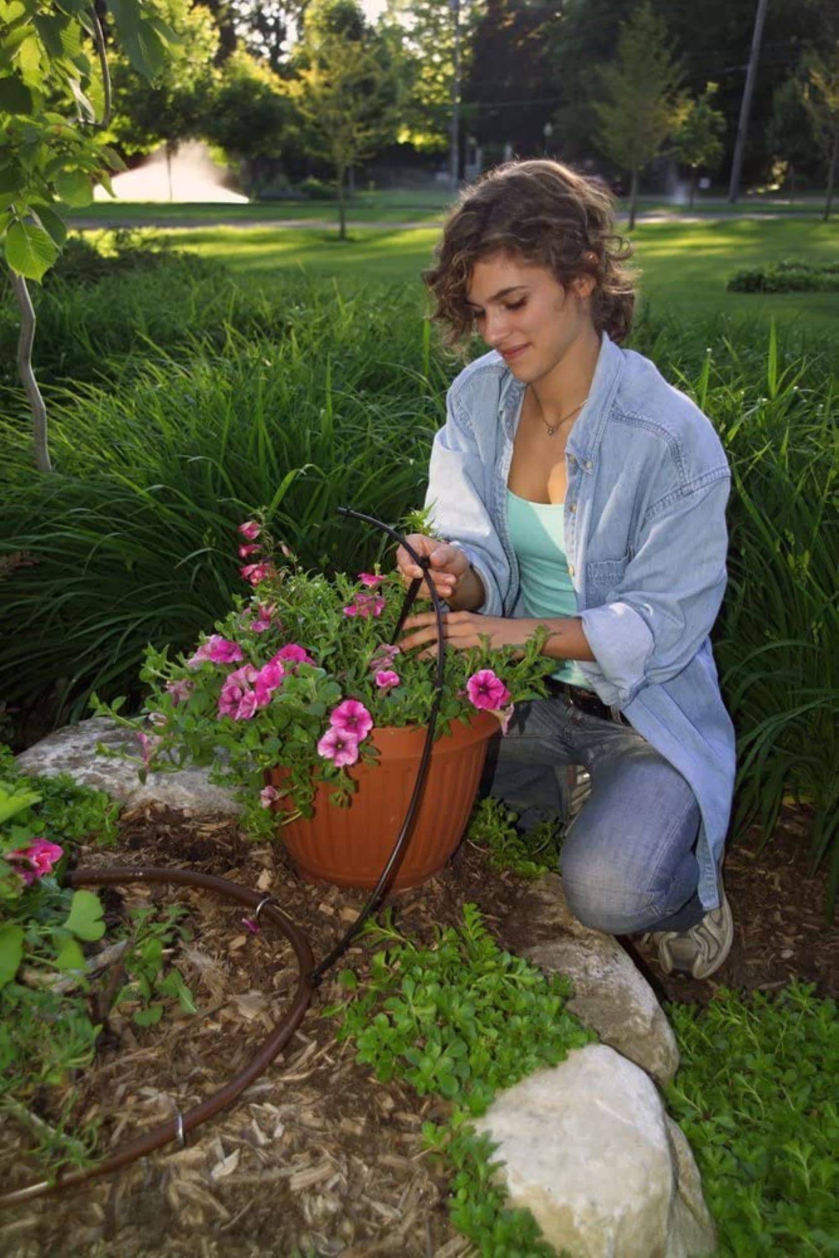 Rain Bird SW10-30PS emitter packaging showing 30 emitters for garden use