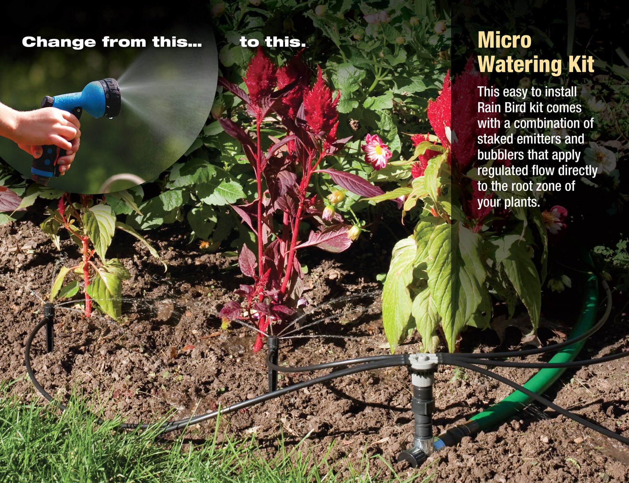 Rain Bird 1.0 GPH emitters provide precise, small plant irrigation.