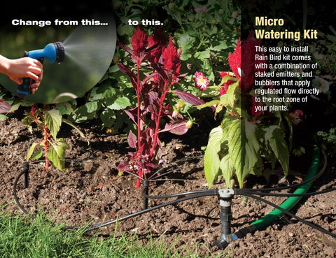 Rain Bird 1.0 GPH emitters provide precise, small plant irrigation.