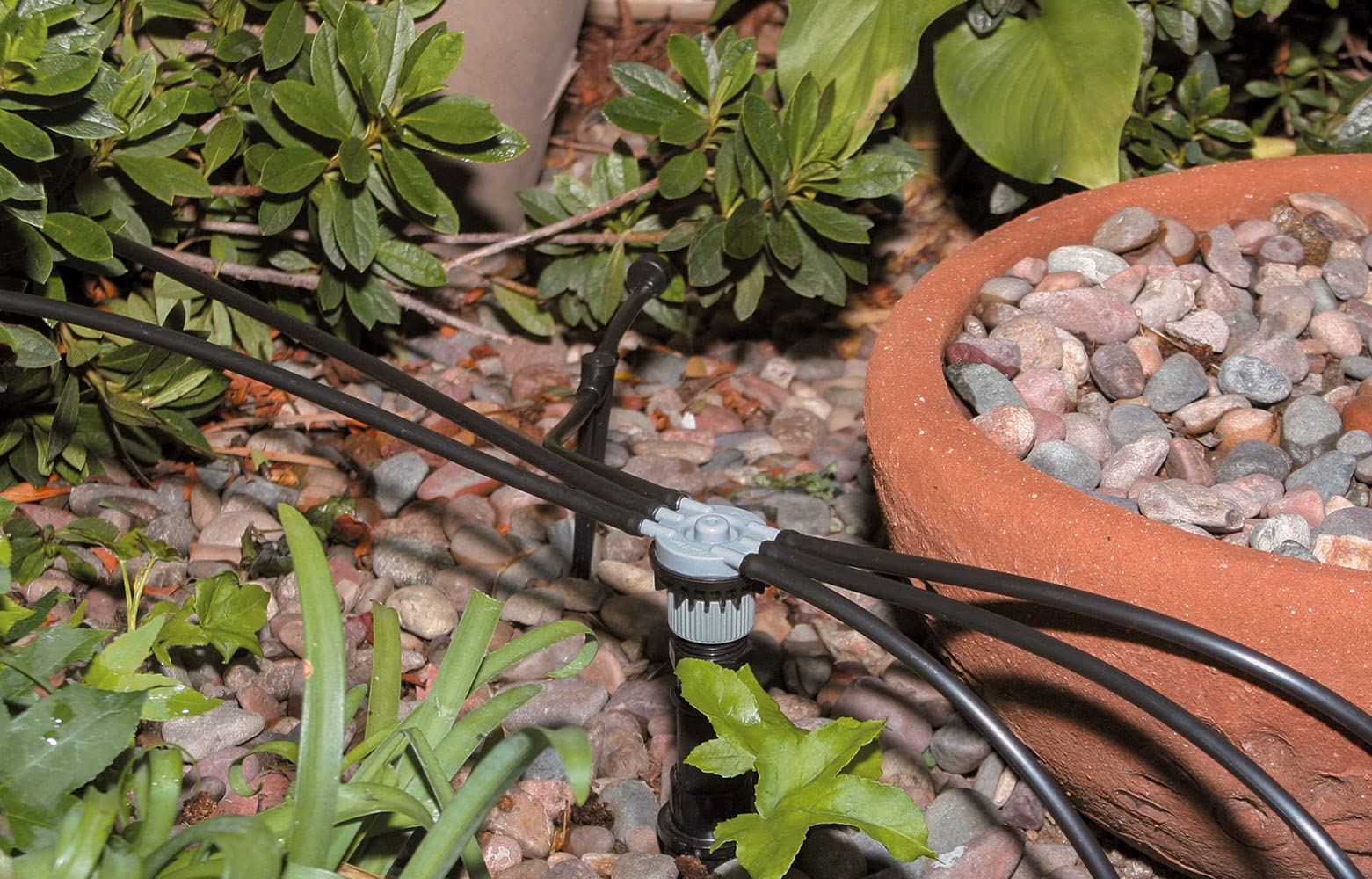 Rain Bird 1/4-inch barbed tees allow multiple watering paths.