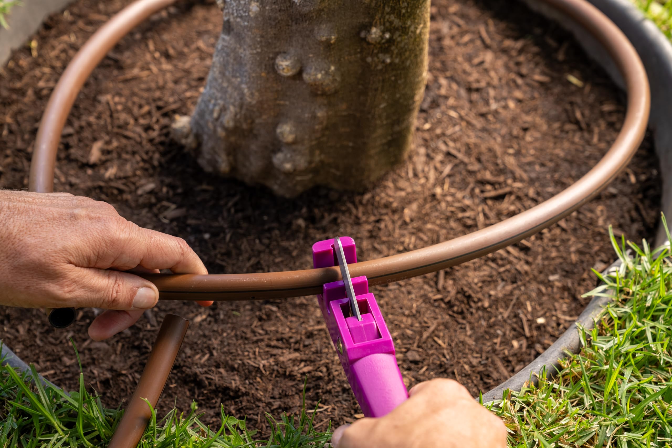 Rain Bird TC/1PKS purple visibility aids locating tool in turf or mulch