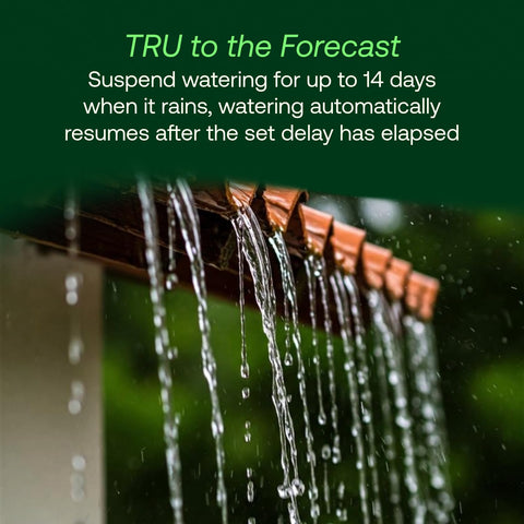 Rain Bird TRU8O multiple start times per program for flexible timing.