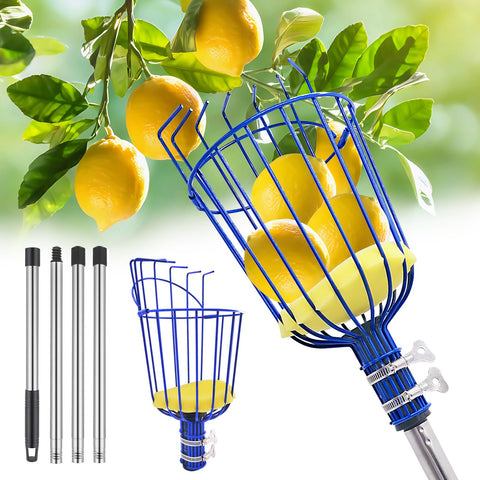 RAIN SPIRIT fruit picker pole with basket extended for tall trees, effortless harvest.