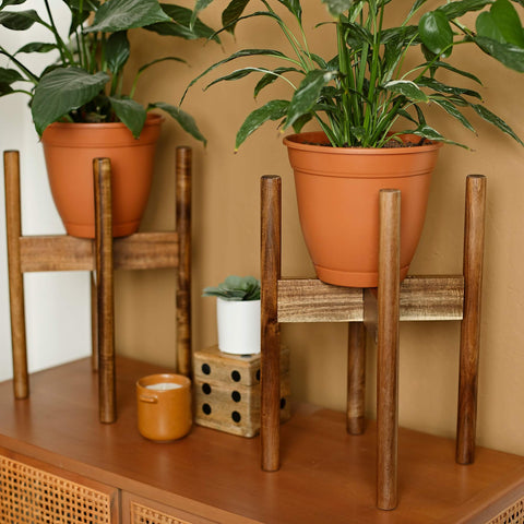 Rainbleland acacia stand easy tool-free assembly with included Allen key.