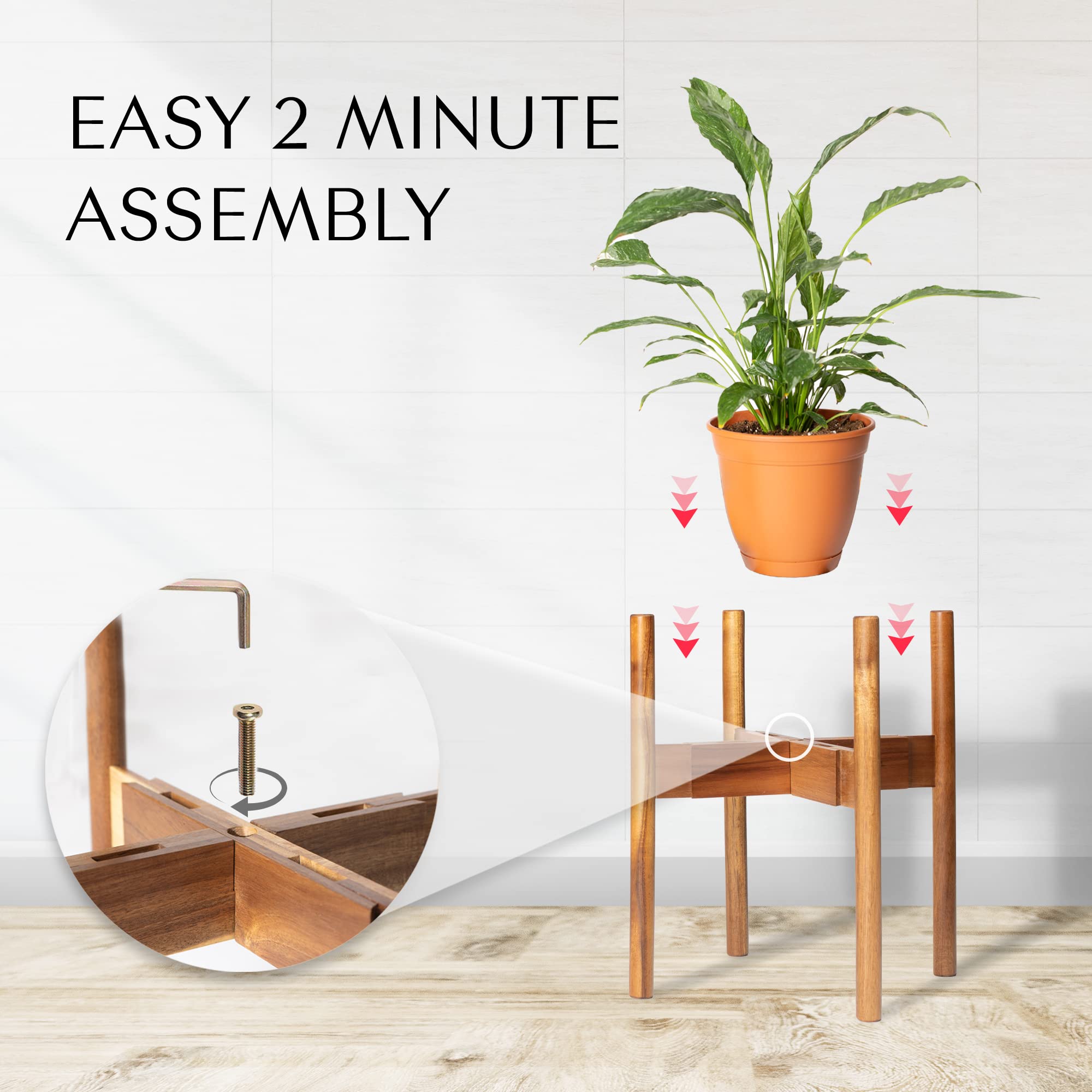 Rainbleland acacia stand height options provide flexible display choices.