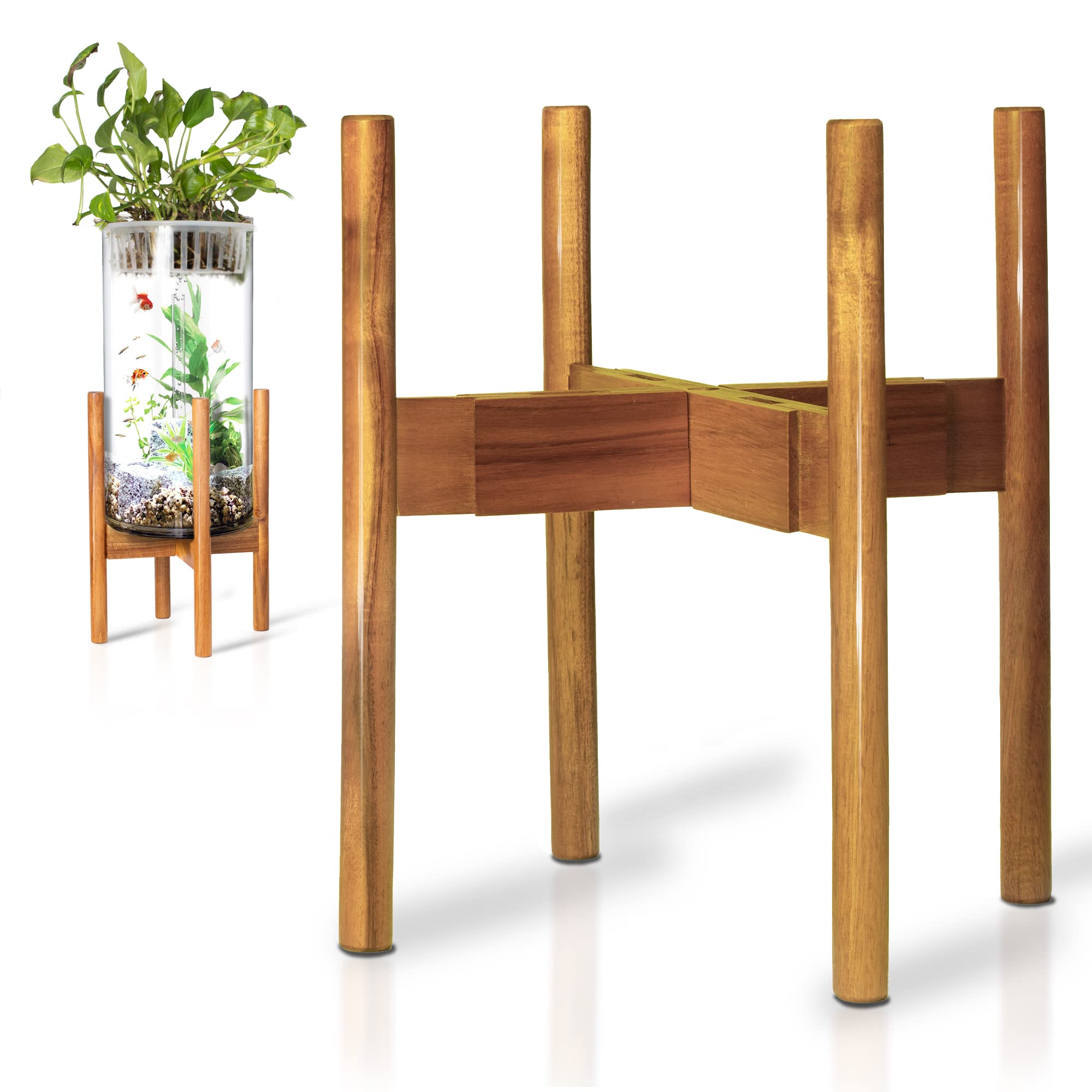 Rainbleland acacia plant stand overview showcases mid century style for indoor greenery.
