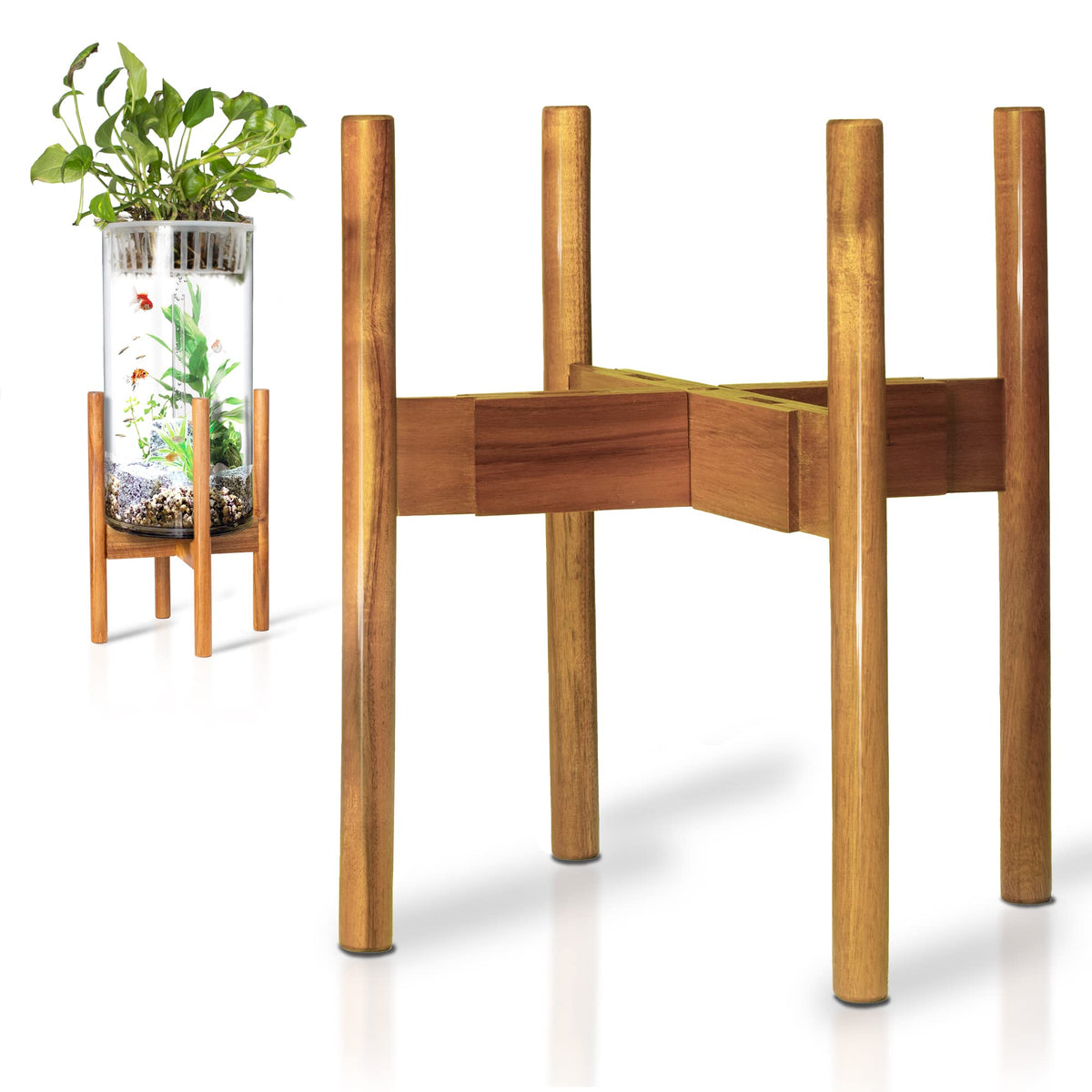 Rainbleland acacia plant stand overview showcases mid century style for indoor greenery.