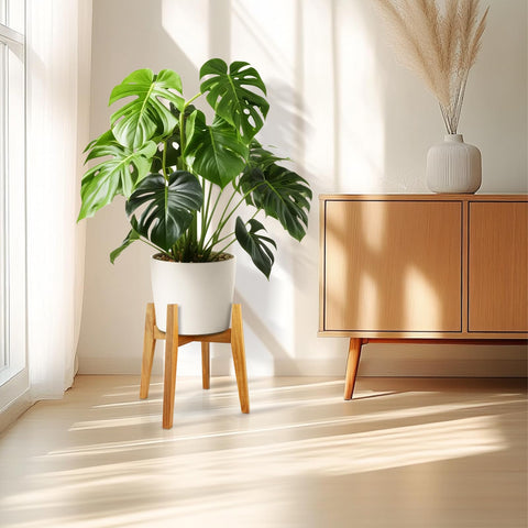 RAINBLELAND Acacia wood stand offers durable support for sizable planters.