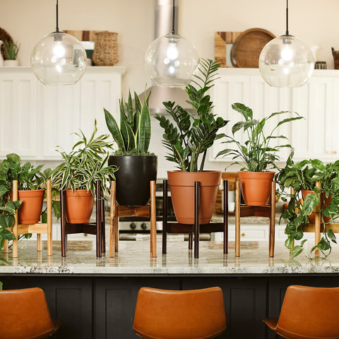 RAINBLELAND adjustable stand fits pots up to 12 inches for a snug hold.