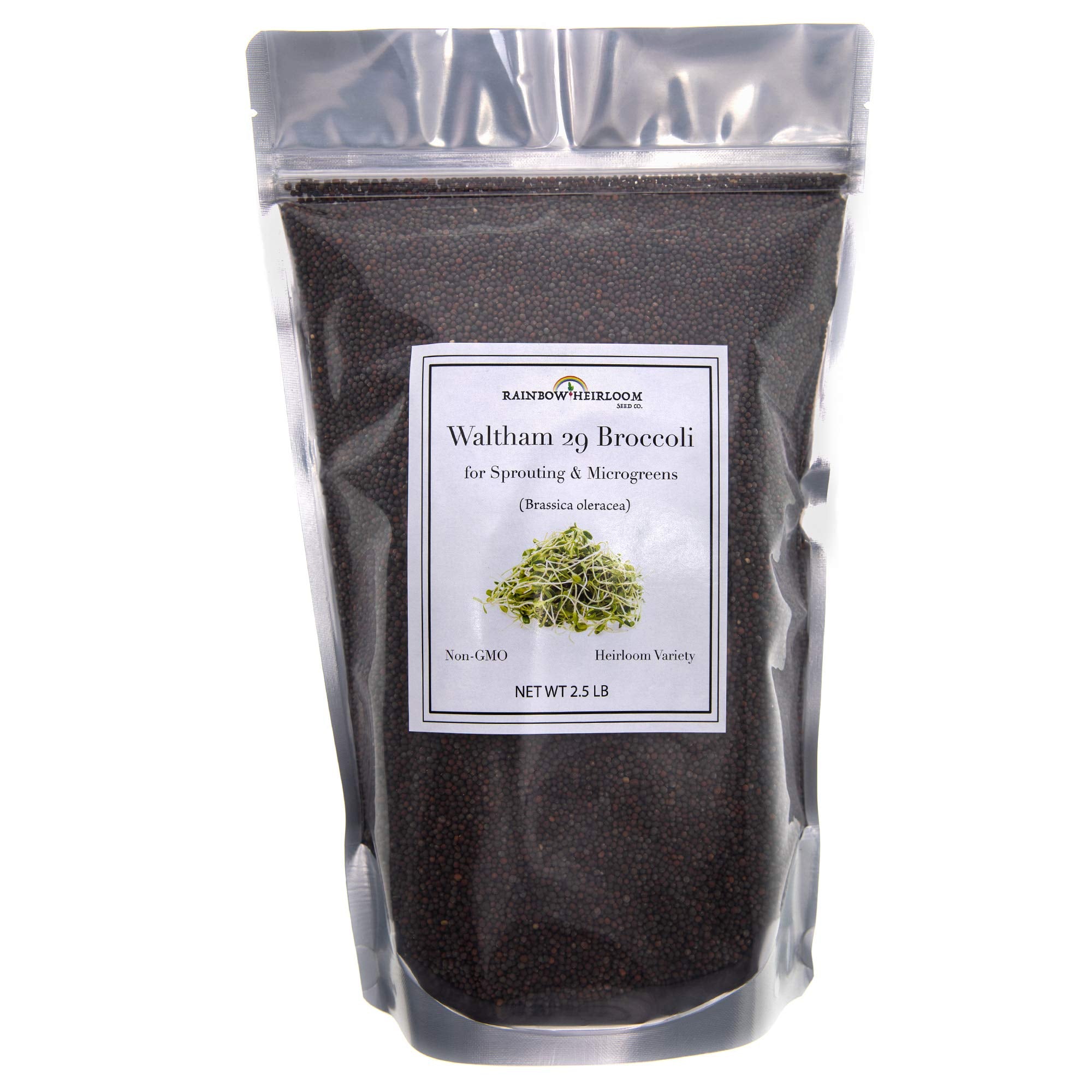 Rainbow Heirloom broccoli sprouts seeds ready for quick home sprouts and fresh salads