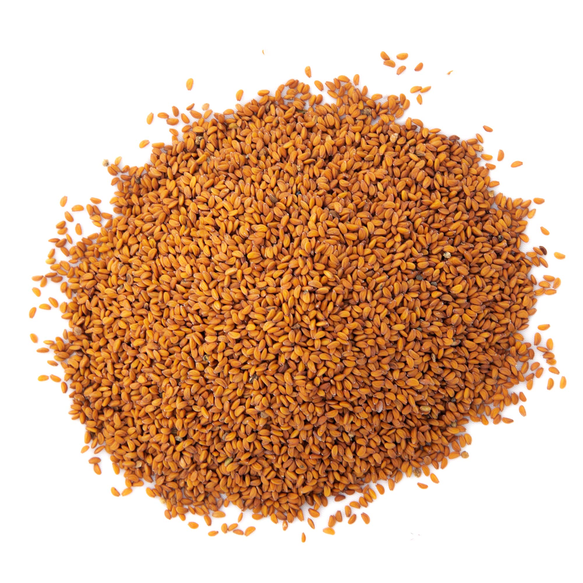 Rainbow Heirloom Seed Co 1 lb bulk cress seeds for heirloom non GMO growth