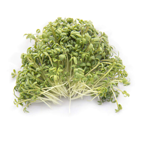 Rainbow Heirloom Seed Co Garden Cress seeds for outdoor planting and lush greens