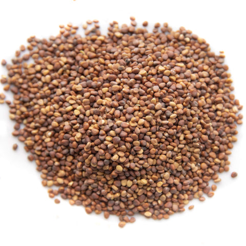 Rainbow Heirloom Seed Co. white daikon radish seeds crisp sprouts