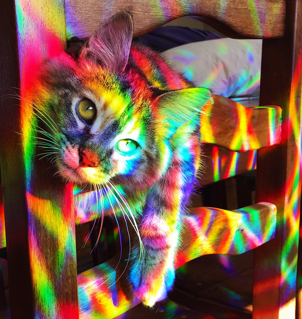 Rainbow Symphony Prism light creator for windows enhances room ambience with color