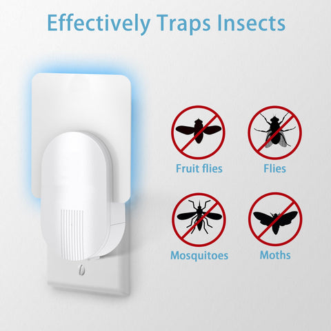 Raindot DT3005W refill, seamless fit for indoor fly traps.