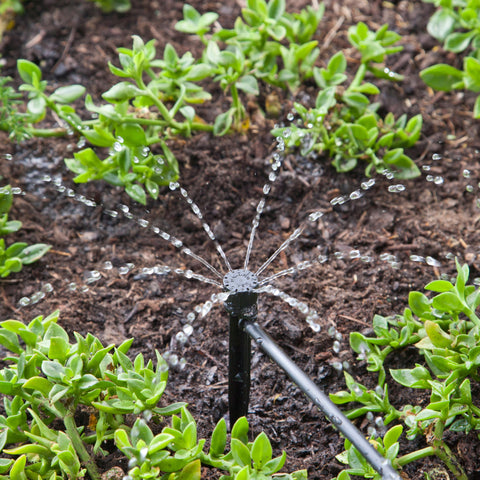 Raindrip 156005B easy drip irrigation system setup in a garden.