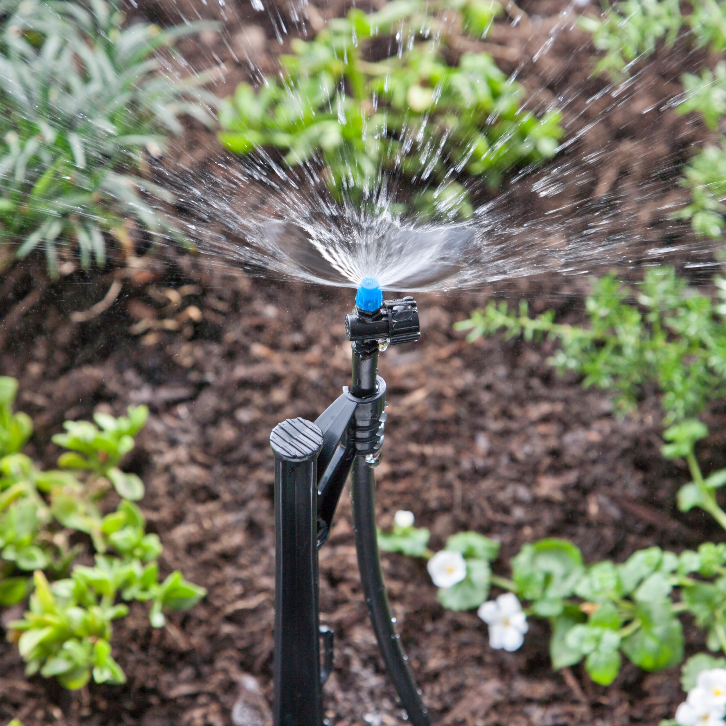 Raindrip 24 GPH discharge supports flexible watering patterns.