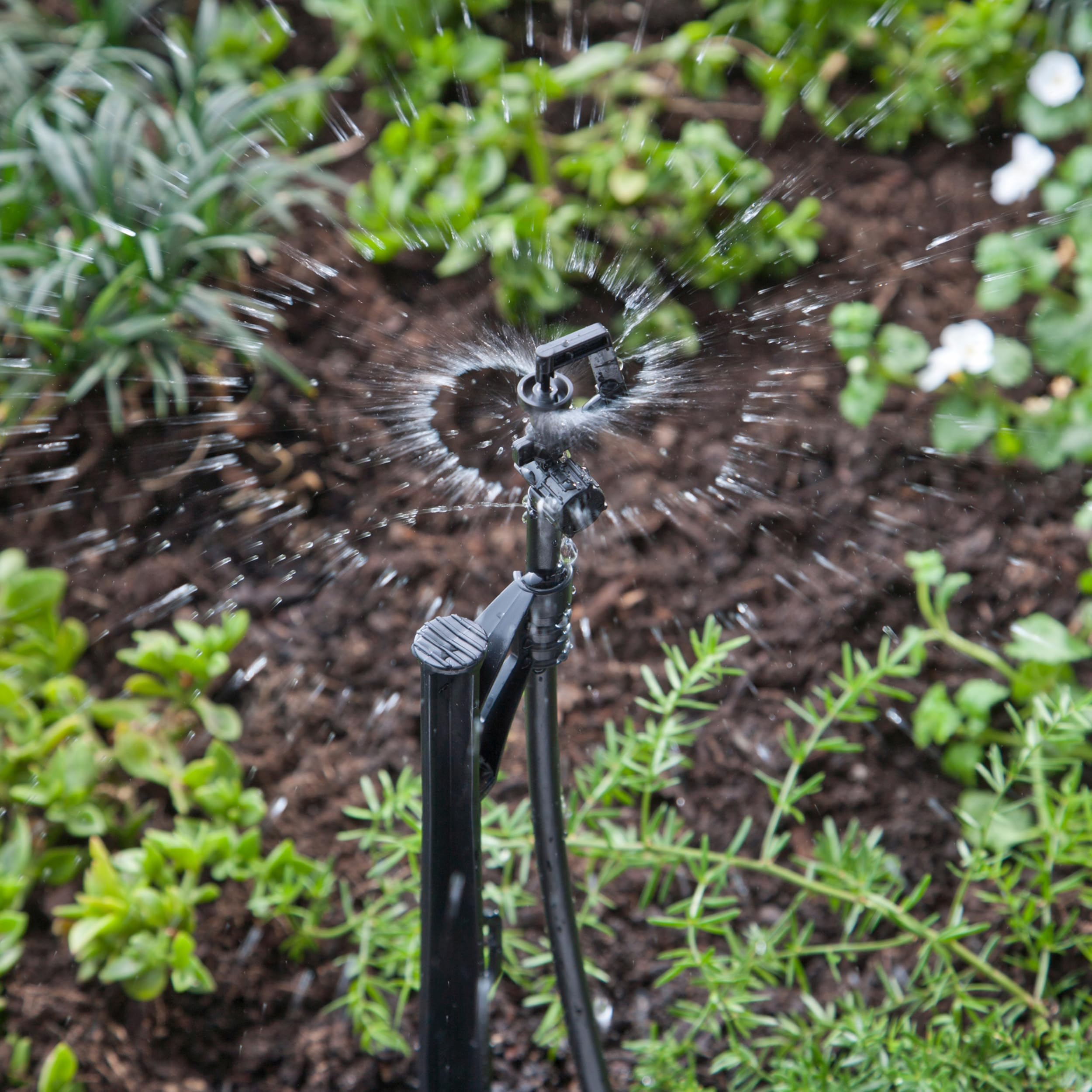 Raindrip A184010B with 10-32 inlet connects to drip systems reliably.