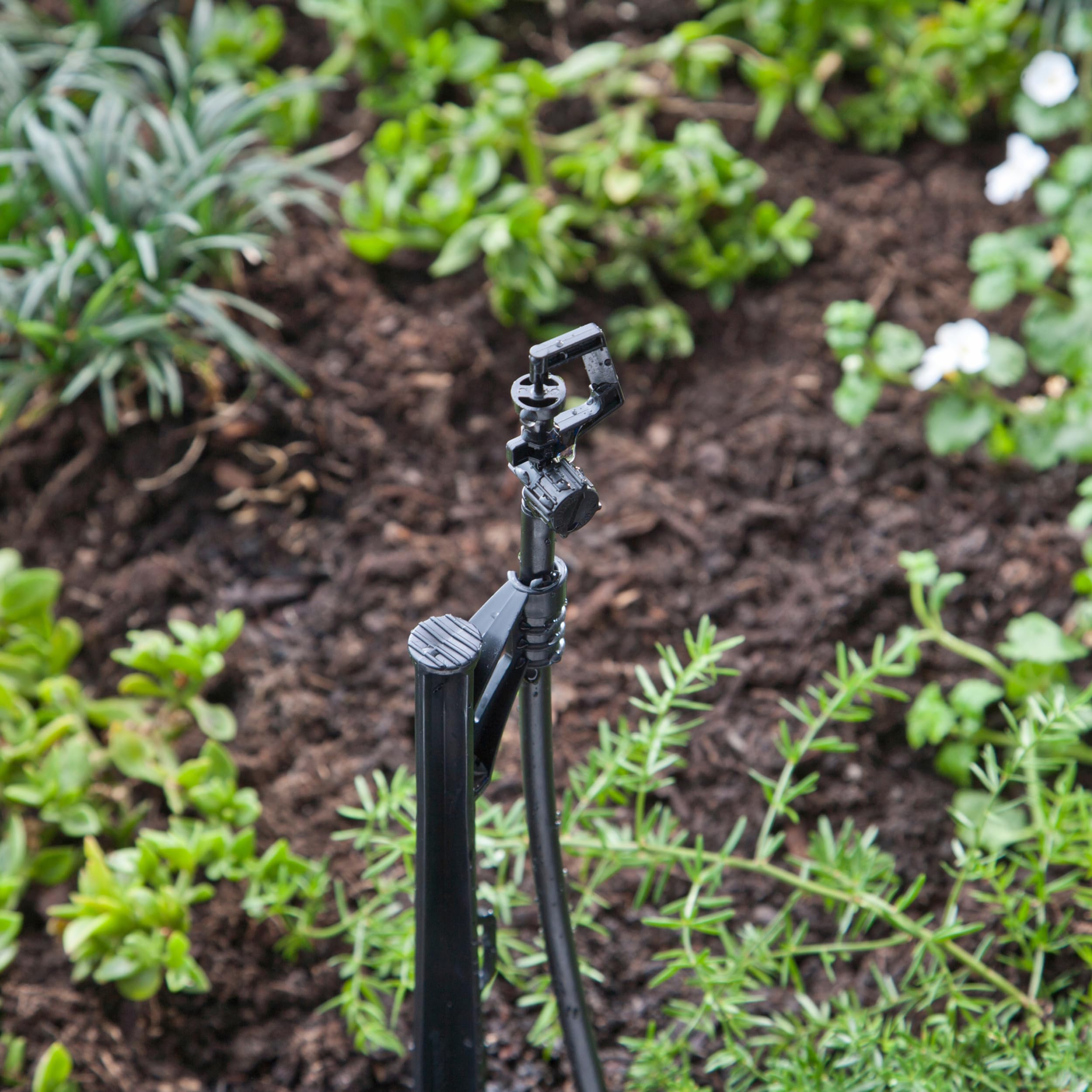 Raindrip A184010B rotary spray provides uniform coverage for plantings.