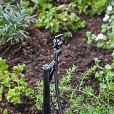 Raindrip A184010B rotary spray provides uniform coverage for plantings.