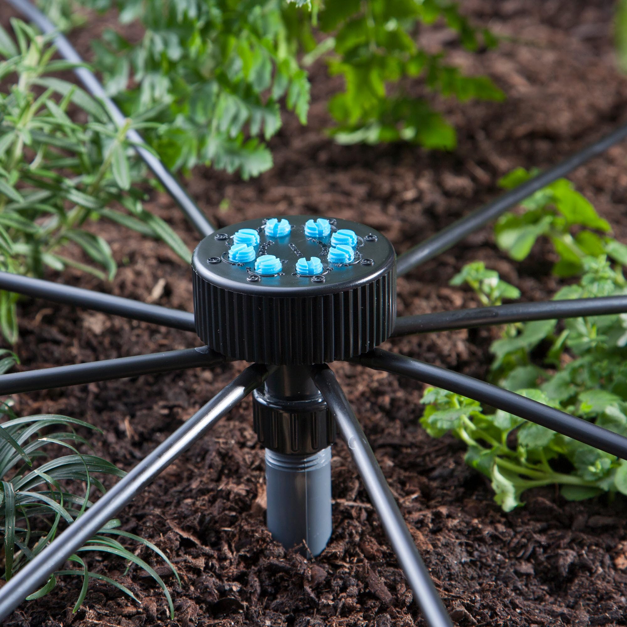 Raindrip Hydro-Port eight-outlet view highlighting adjustable flow
