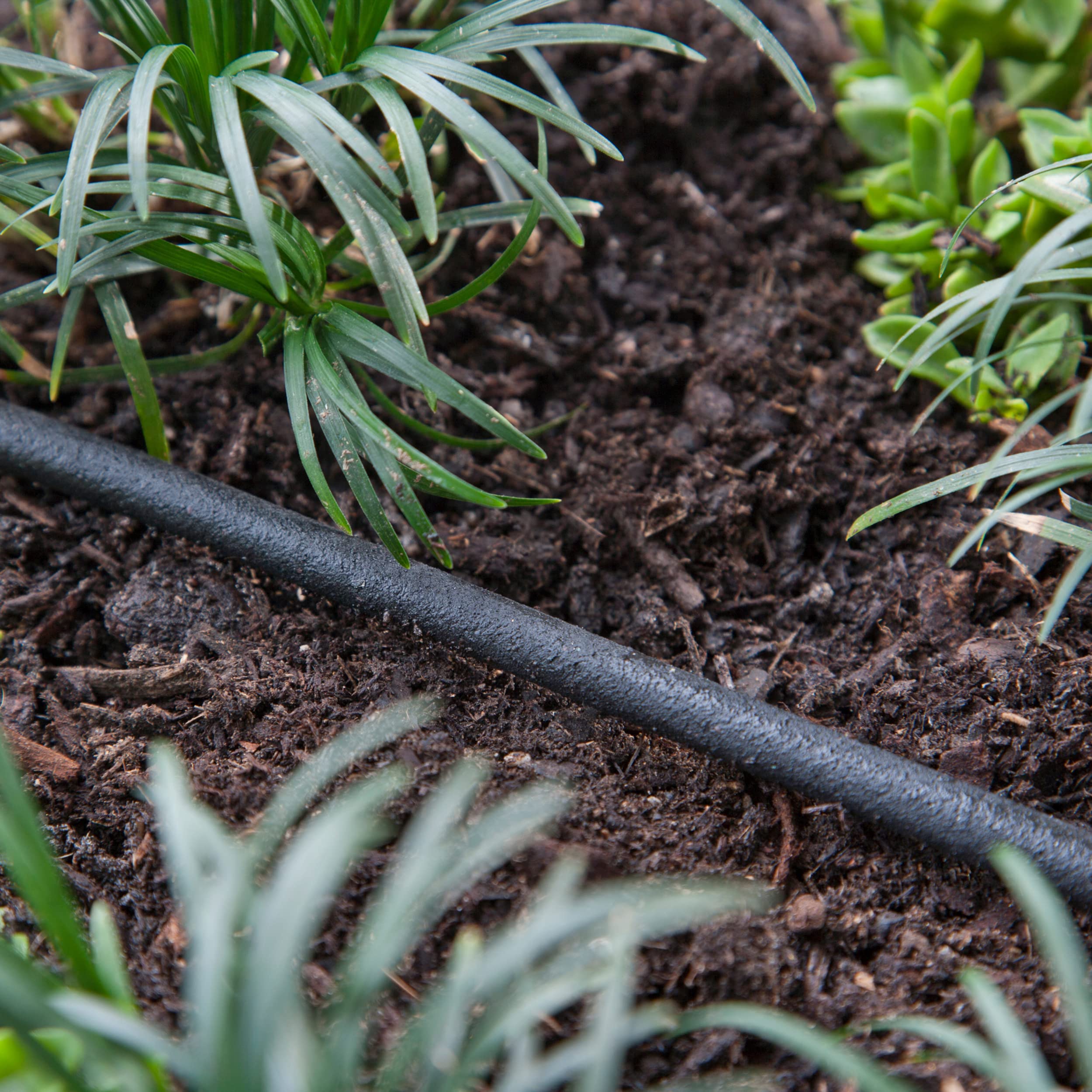 Raindrip tubing flexible bend shows adaptable layout for curved garden beds