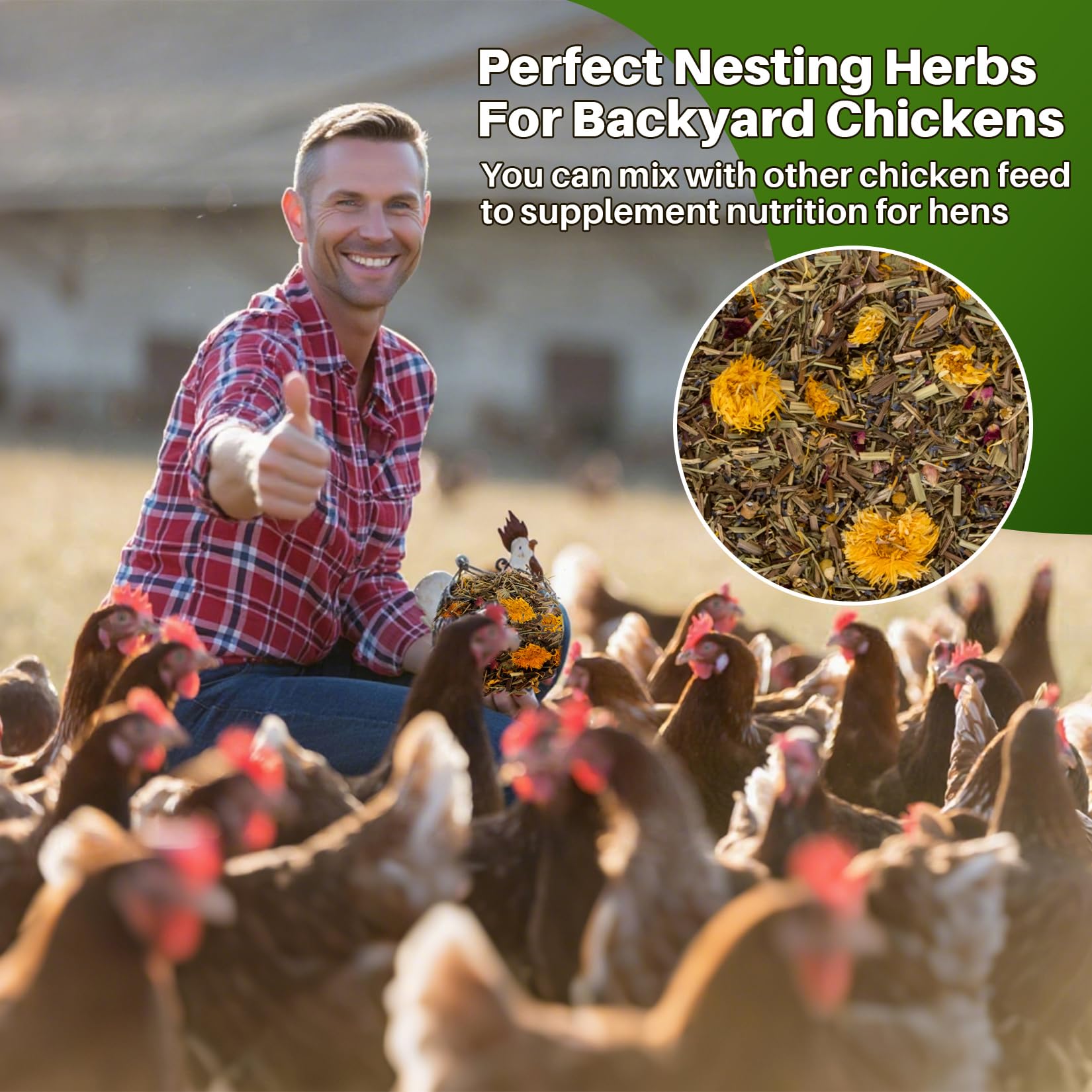RAINFLOW Chicken Nesting Herbs sprinkled in coop bedding delivering fresh fragrance.