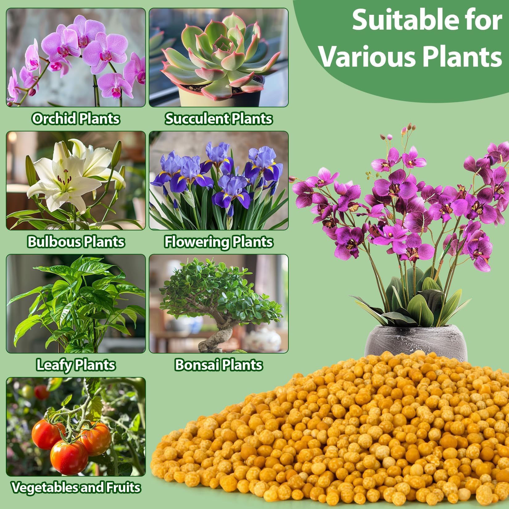 RAINFLOW flowering and fruiting potential with consistent nutrition