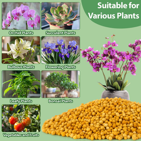 RAINFLOW flowering and fruiting potential with consistent nutrition