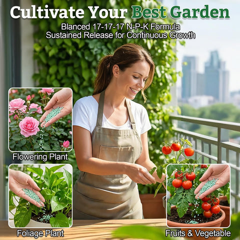 RAINFLOW support for indoor houseplants with balanced nutrition