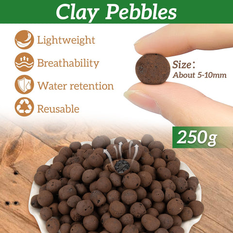 Rainflow Leca pebbles bottom drainage in pot support for healthier moisture balance.