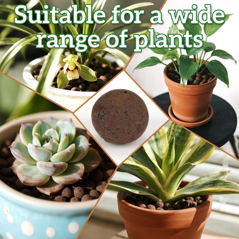 Rainflow Leca pebbles hydroponics setup provide durable, reusable drainage medium.