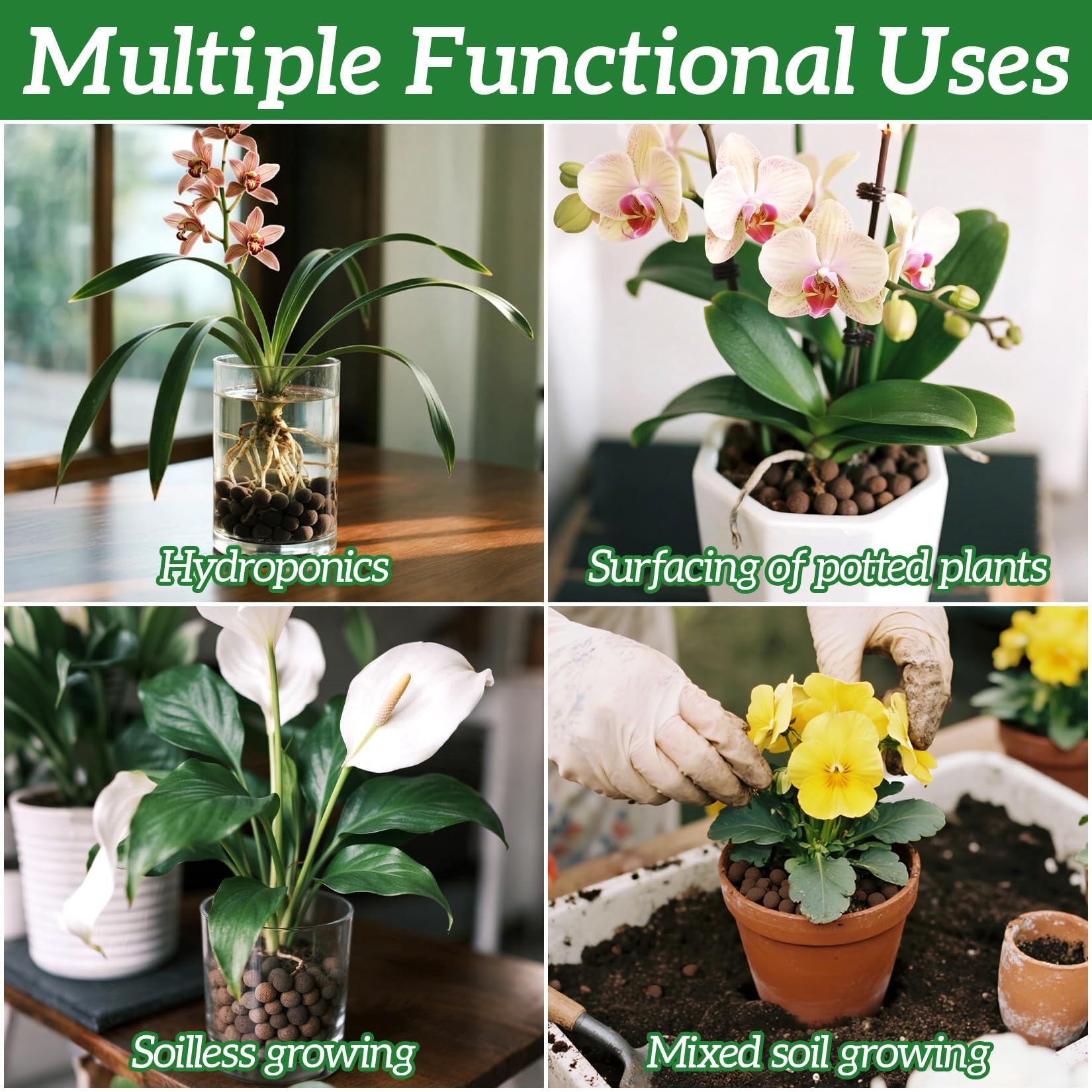 Rainflow Leca pebbles in pot plant display promotes drainage and air-filled roots.