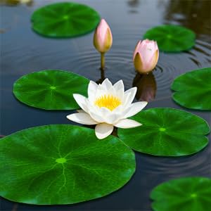 RAINFLOW lily pads outdoor pond decoration for patio ponds