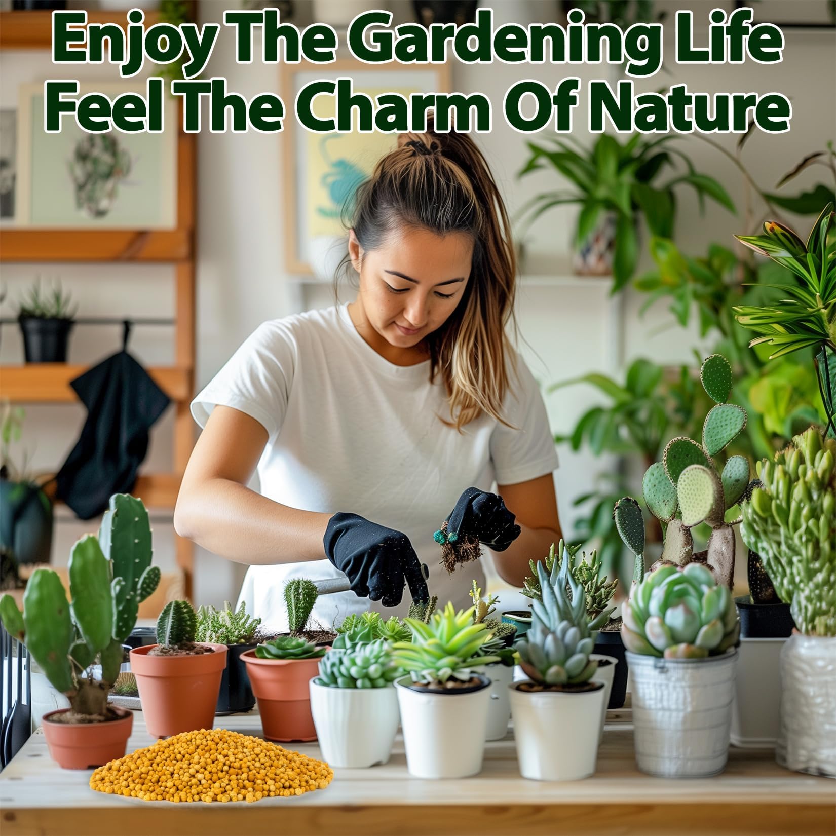 RAINFLOW orchid, succulent, and cactus care with all-purpose nutrition