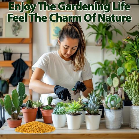 RAINFLOW orchid, succulent, and cactus care with all-purpose nutrition