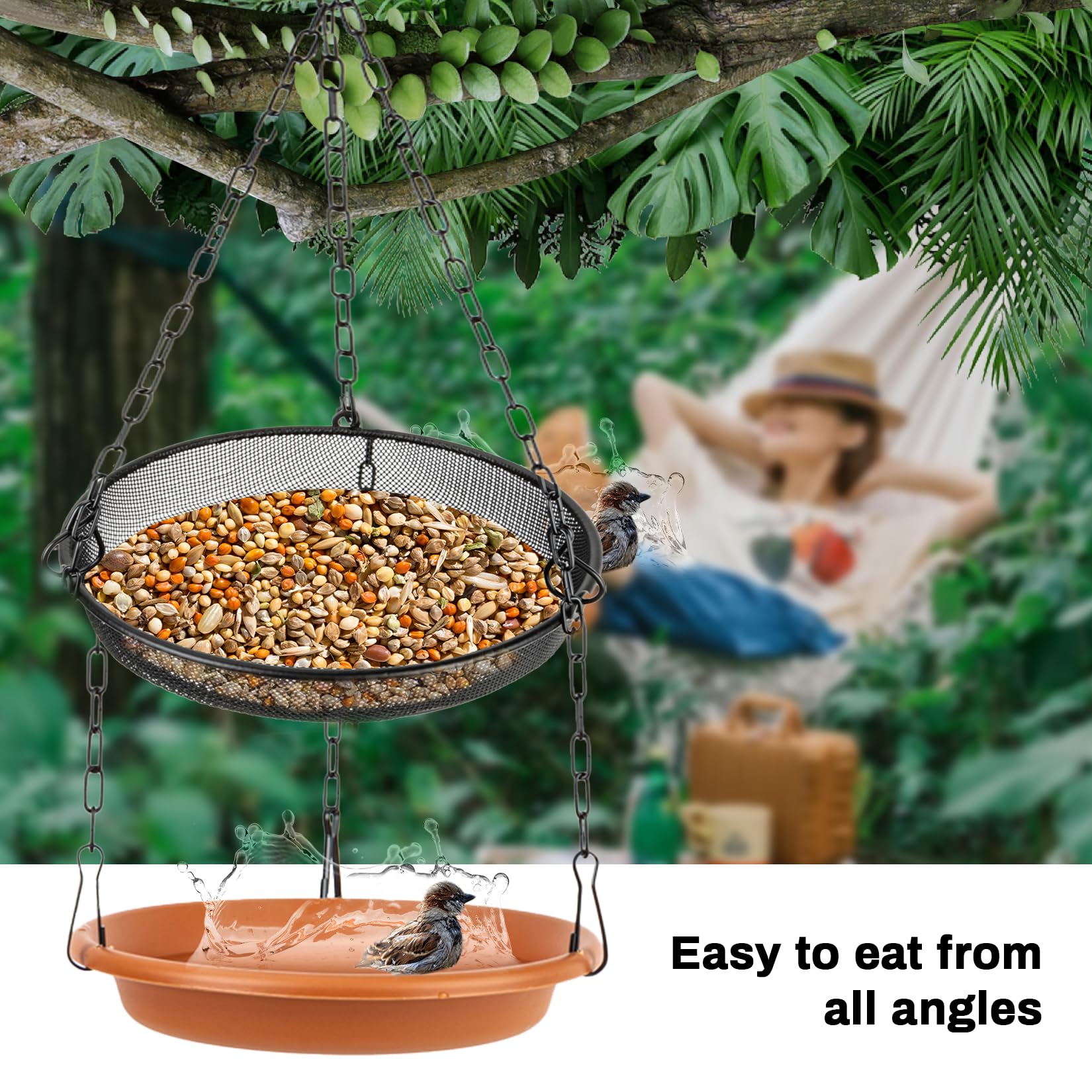 Rainflow outdoor bird feeding area attracts a variety of species with water and seed.