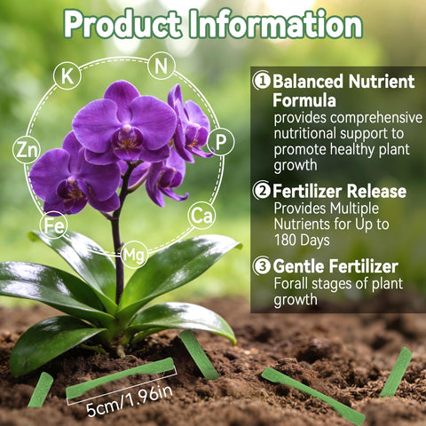 RAINFLOW plant food spikes for orchids promoting steady feeding and greener foliage