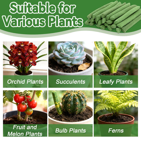 RAINFLOW spikes feed potted plants evenly, reducing messy fertilizer handling