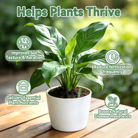RAINFLOW slow-release spikes enhance succulents with balanced nutrients for healthy growth