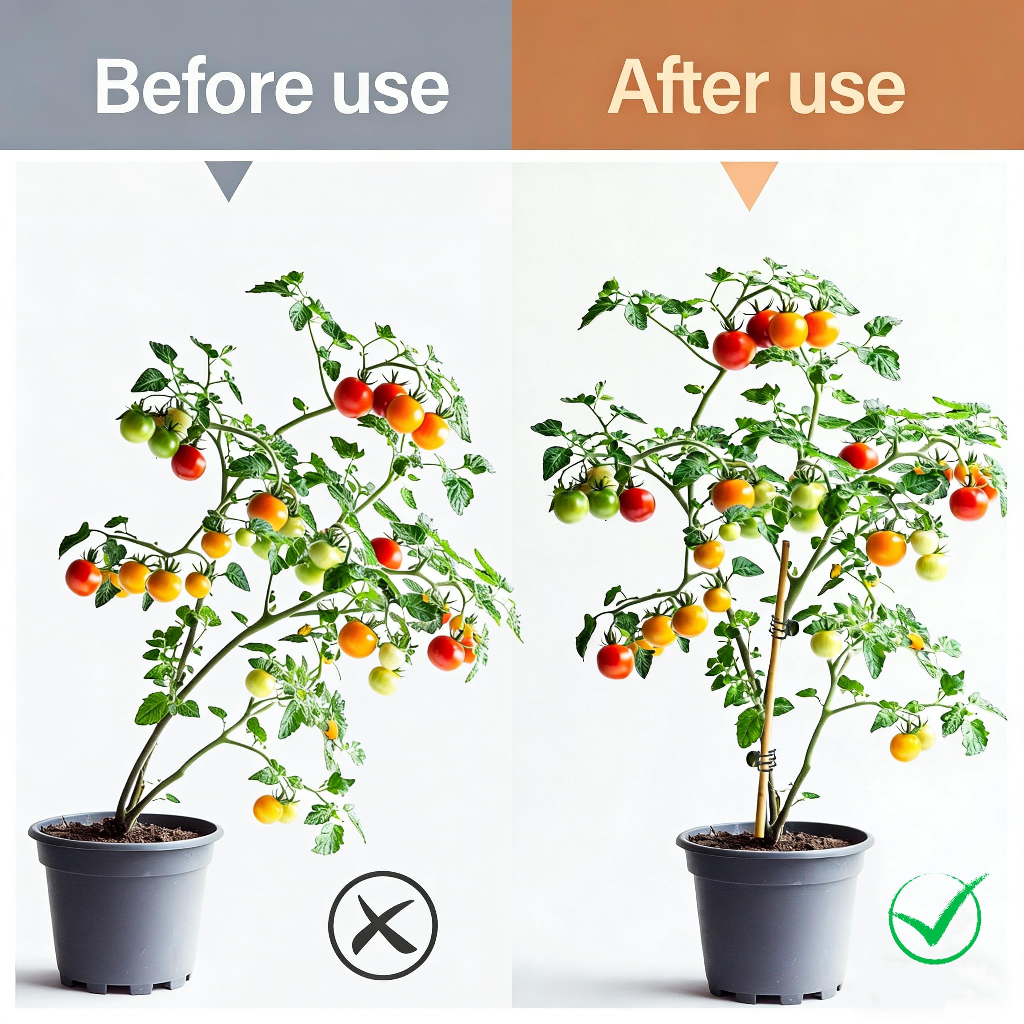 RAINFLOW orchid clips securely hold orchid stems to stakes for upright growth.