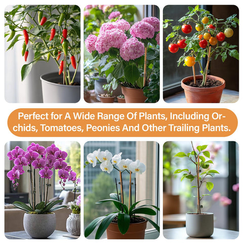 RAINFLOW reusable clips promote sustainable plant supports.