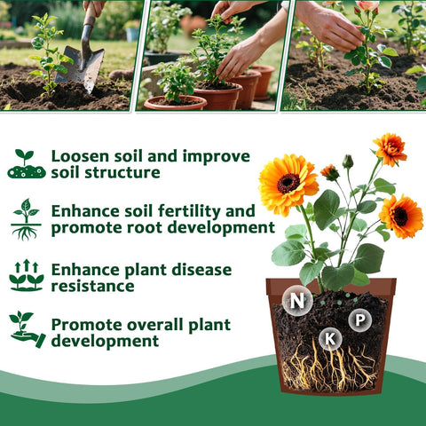RAINFLOW improves soil structure and root growth over time