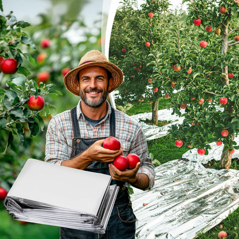 RAINFLOW tear-resistant PETP film withstands regular use in greenhouses and DIY projects.