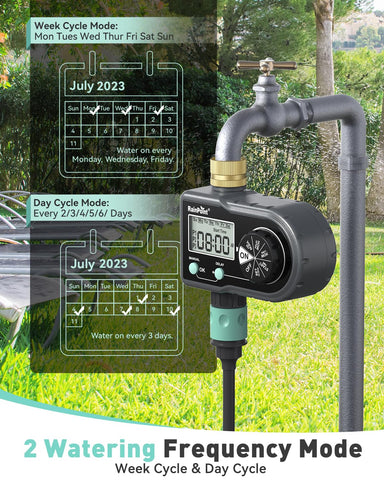 RAINPOINT 3-program timer enables customizable daily irrigation.