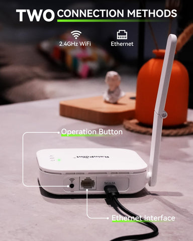 RAINPOINT Ethernet gateway hub shown for reliable wireless and wired connectivity.