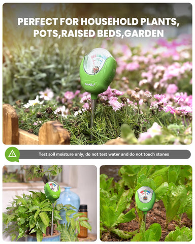 RAINPOINT indoor outdoor compatibility supports houseplants and garden soil